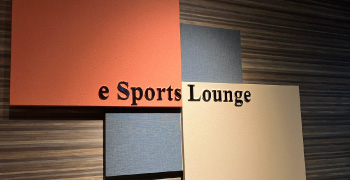 e Sports Lounge